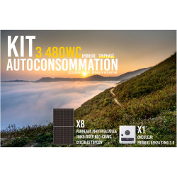 Kit solaire autoconsommation Hybride 3.0 - 3480Wc