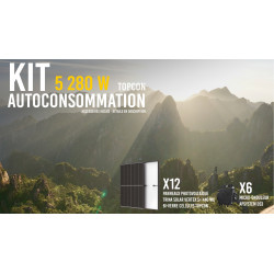 Kit solaire autoconsommation TOPCon 5280Wc - TRINA Vertex S+ - passerelle incluse