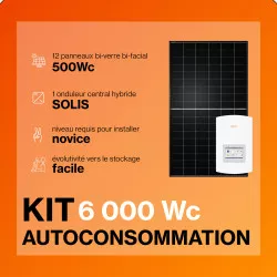 Kit solaire autoconsommation 6000Wc - Onduleur SOLIS HYBRIDE et panneaux Biverre Biface