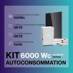 Kit solaire HYBRIDE autoconsommation MONOPHASE 6kWc - Onduleur DEYE et panneaux Biverre Biface